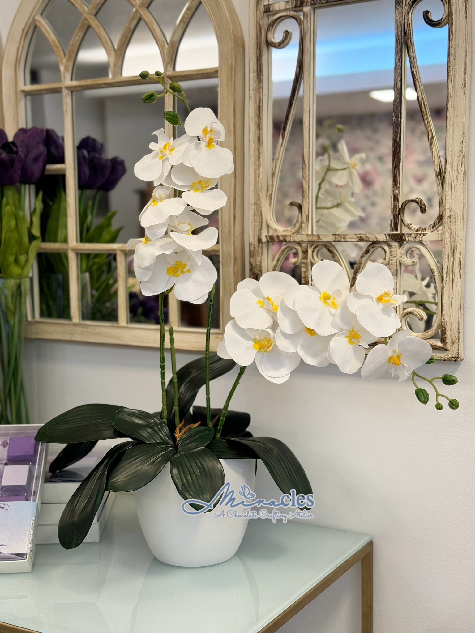 Orchids